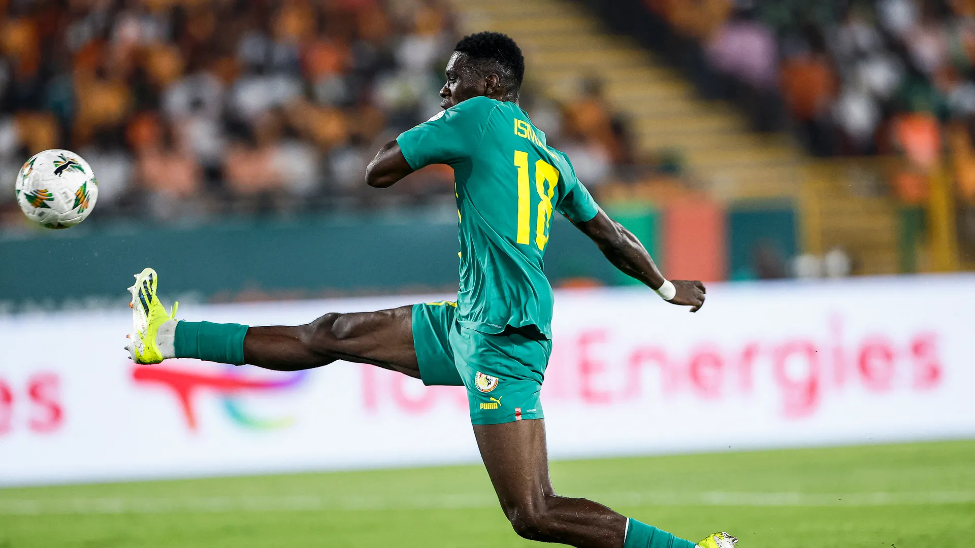 十月国际比赛日：15 名水晶宫球员征战赛场，多点开花创佳绩